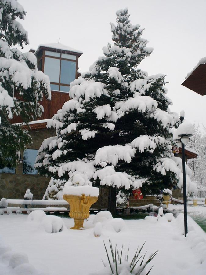 Хотел Галина Палас Srem Exterior photo