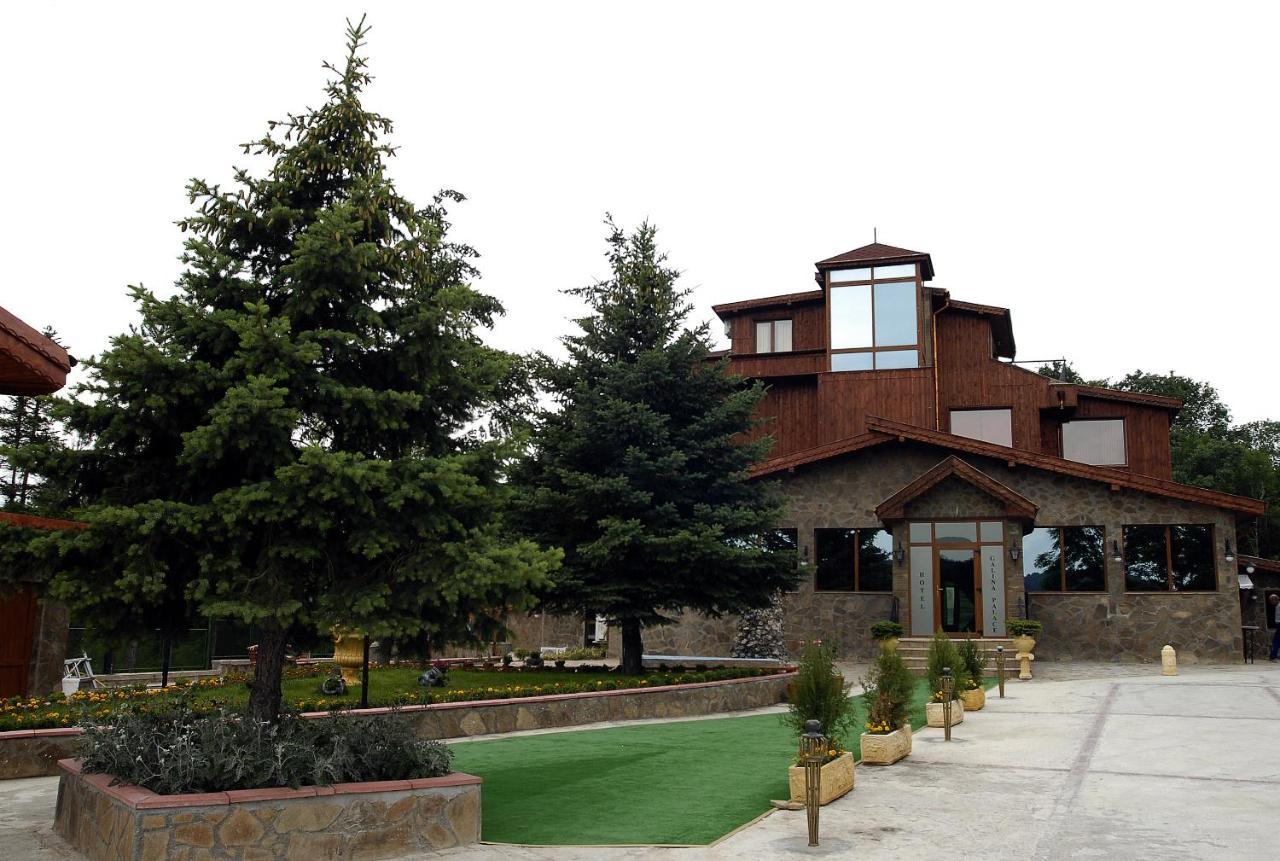 Хотел Галина Палас Srem Exterior photo